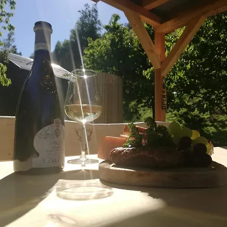 Apart Ursprung Kappl (Landeck)